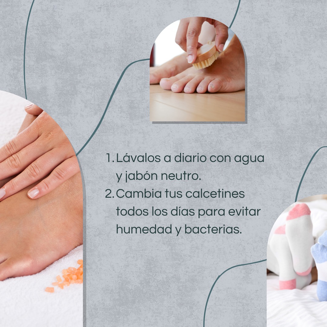 Servicios Ortopiecito